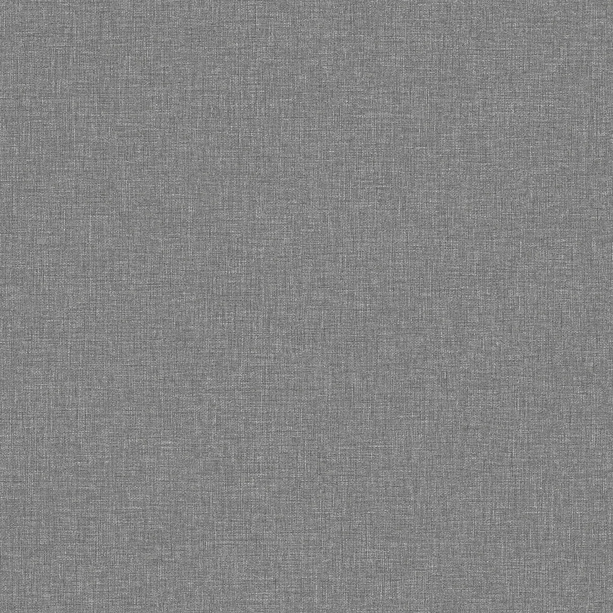 Canvas Graphite - 6119