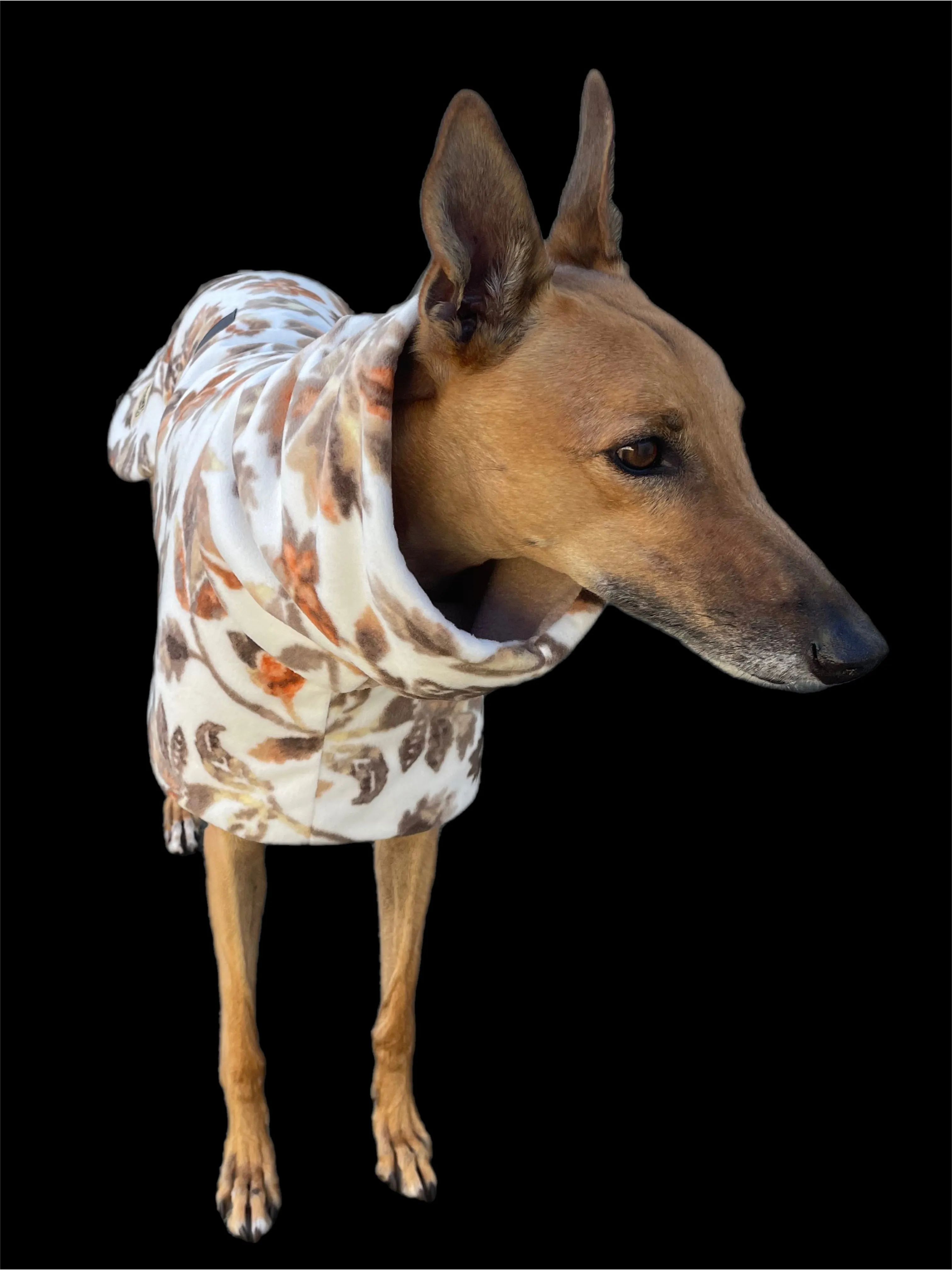 Clearance Greyhound coat deluxe style rug winter leaves polar fleece washable extra wide neck