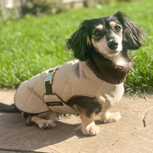 Dachshund Quilted Sherpa Dapper Coat